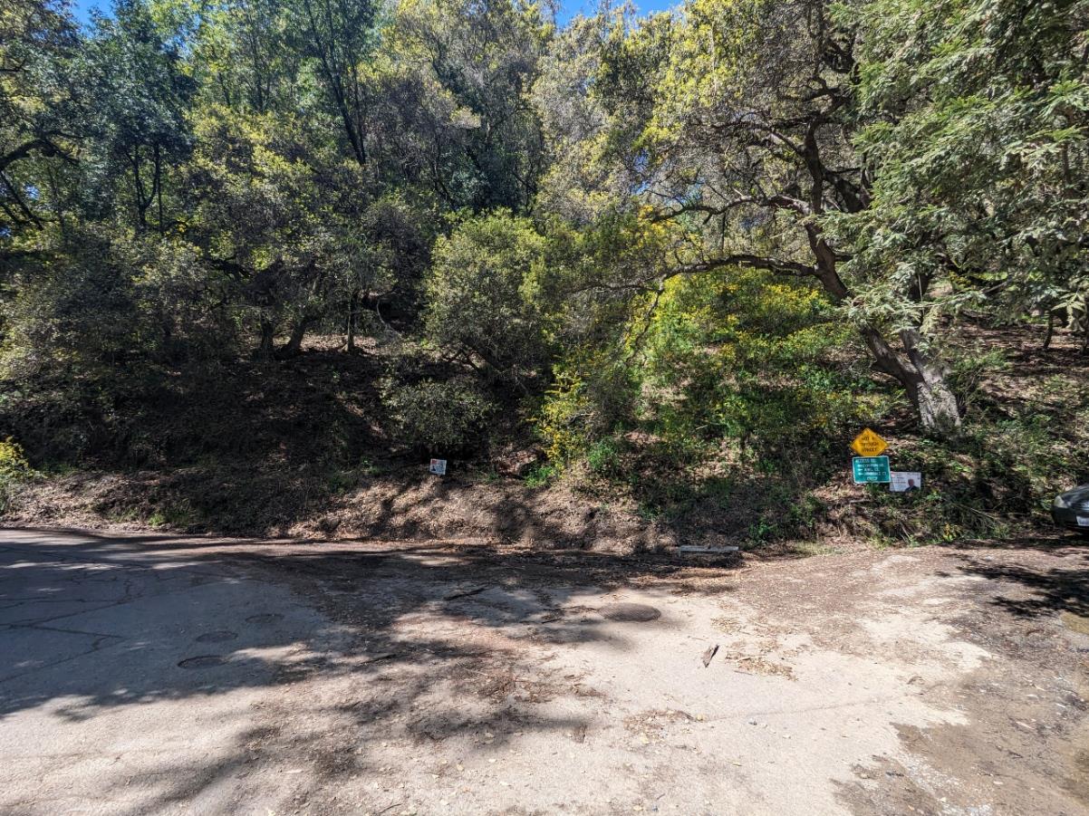 Lauriston CT, OAKLAND, Residential Lot,  for sale, Philip Roza, Realty World - Dominion